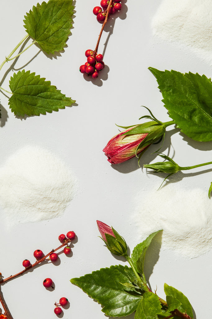 Hibiscus Vanilla Ingredients